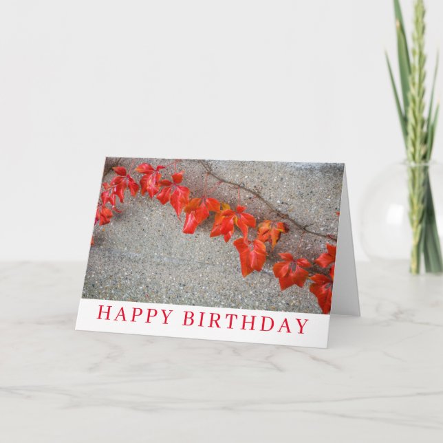 Bright colored autumn leaves birthday card (Front)