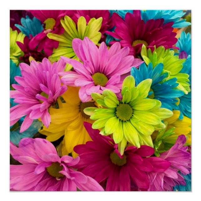 BRIGHT COLORFUL FLOWERS POSTER (Front)