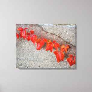 Bright coloured autumn leaves view canvas print
