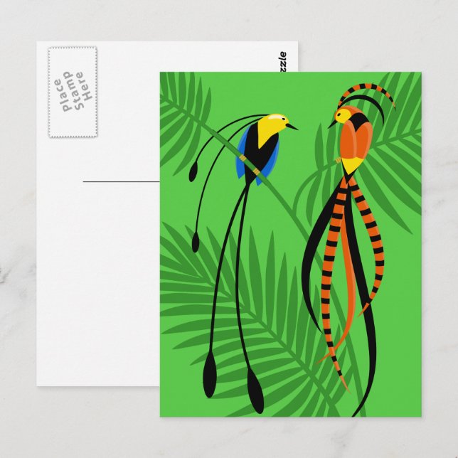 Bright Colourful Birds of Paradise Postcard (Front/Back)