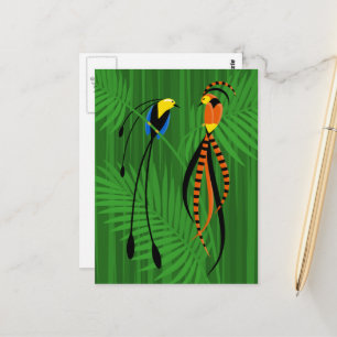 Bright Colourful Birds of Paradise Postcard