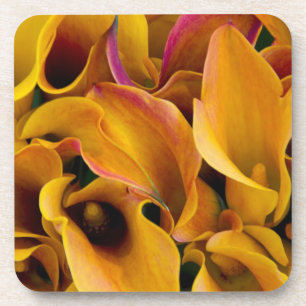 Bright colourful calla lilies at the coaster