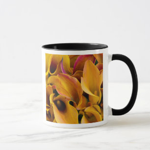 Bright colourful calla lilies at the mug