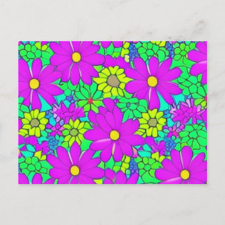 bright colourful daisies flower postcard