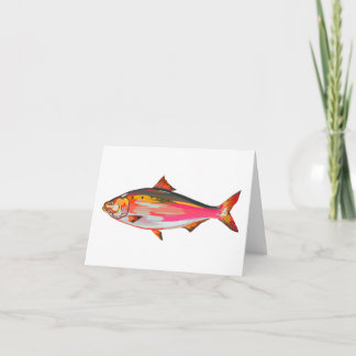 Bright, colourful fish greetings card