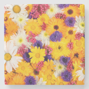Bright Colourful Flowers Spring Pattern Stone Coaster