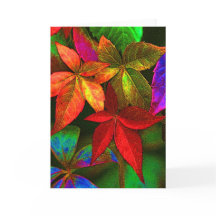 Bright colourful leaves card