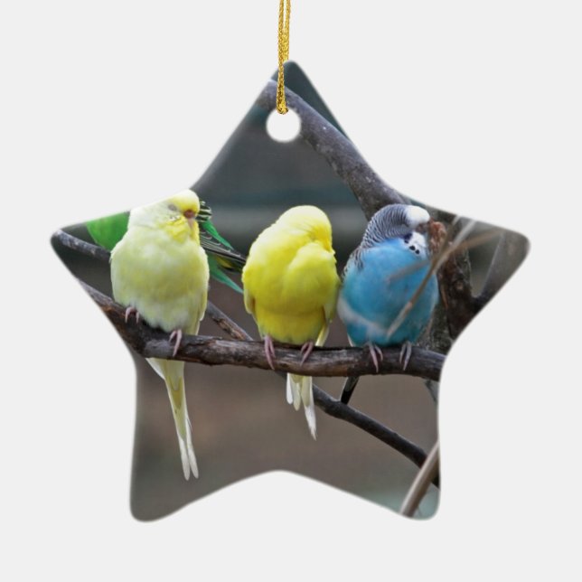 Bright Colourful Parakeets Budgies Parrots Birds Ceramic Tree Decoration (Front)