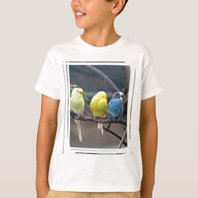 Bright Colourful Parakeets Budgies Parrots Birds T-Shirt (Front)