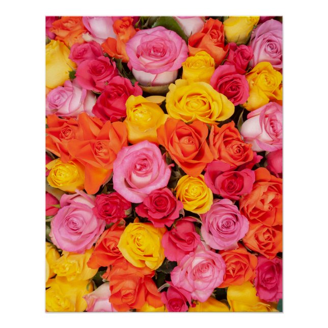 Bright Colourful Roses Pattern Floral Background Poster (Front)
