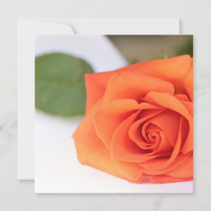 Bright Colours Orange Rose Your Text Flat Card