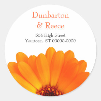 Bright Daisy Stickers