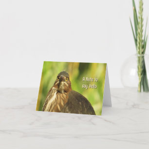 Bright Eyed Heron - Blank Greeting Card