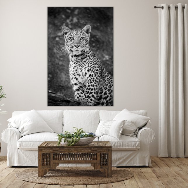 Bright-Eyed Young Leopard Canvas Print (Creator Uploaded)