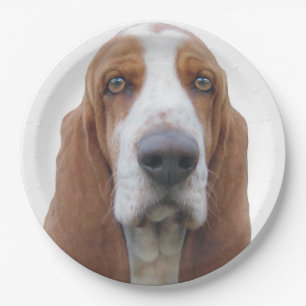 Bright Eyes Basset Hound Paper Plate