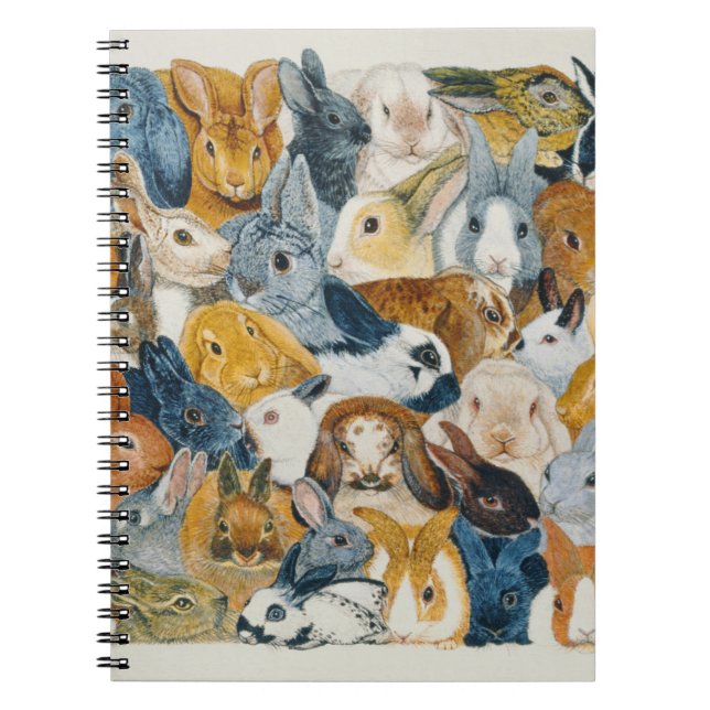 Bright Eyes Spiral Notebook (Front)