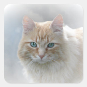 Bright Eyes square cat sticker © AH2010