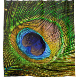 Bright Feather Shower Curtain