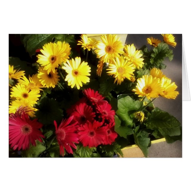Bright Flower Card (Front Horizontal)