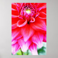 Bright Flower