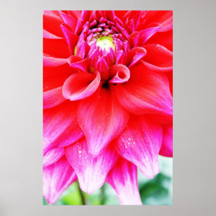Bright Flower Poster