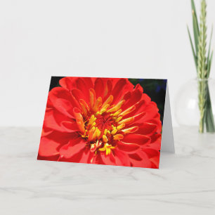 Bright flowers collection greeting card (blank)