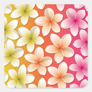 Bright Frangipani/ Plumeria flowers Square Sticker