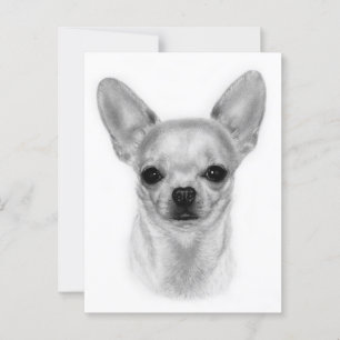 Bright Gaze - Hand Painted Chihuahua Art Postcard