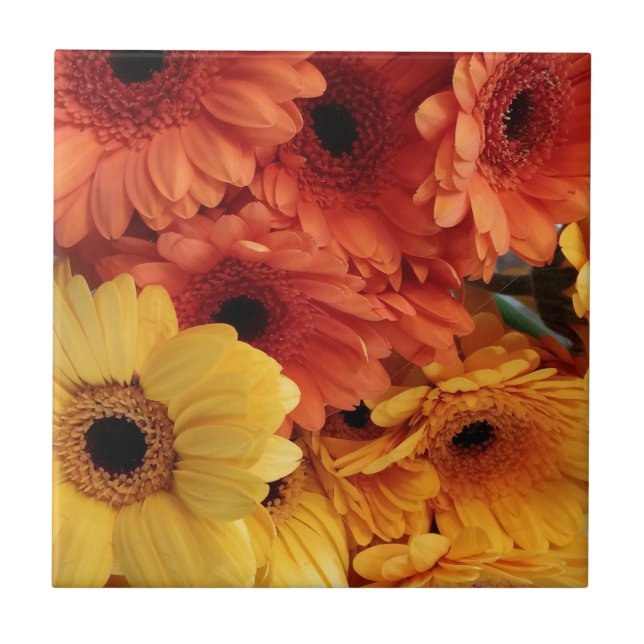 Bright Gerbera Flowers, Orange Yellow, Flora Tile (Front)