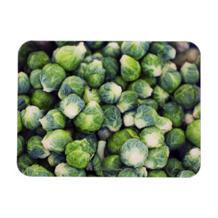 Bright Green Fresh Brussels Sprouts Magnet