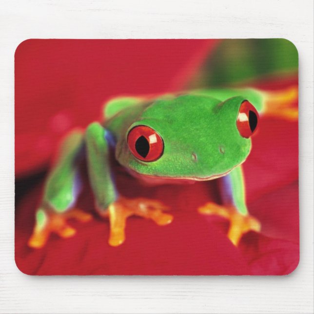 Bright Green Frog Mouse Mat (Front)