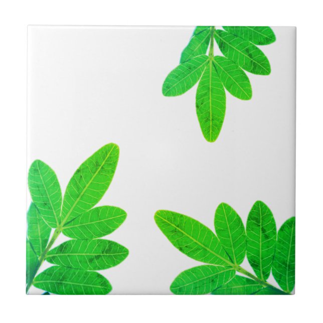 Bright Green Mango Tree Leaves Tile (Front)