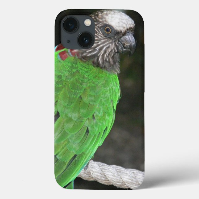 "BRIGHT GREEN PARROT" CASE FOR iPHONE 7 (Back)