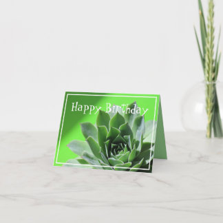 Bright green sempervivum succulent plant card