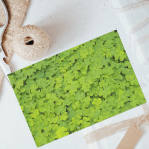 Bright Green Shamrocks Floral Tissue Paper
