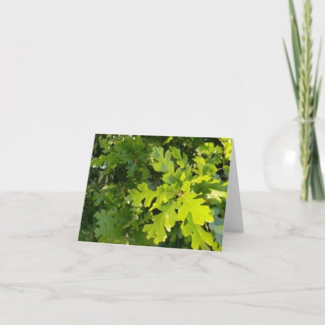 bright green sunlit green oak leaves notecard (Front)