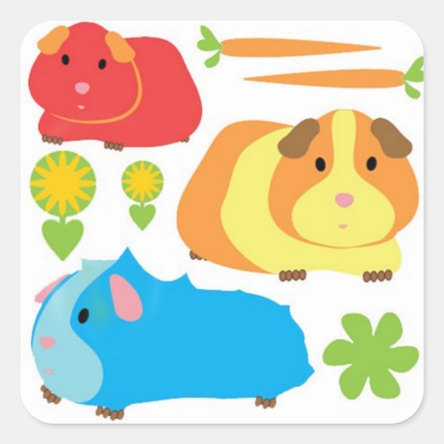 Bright Guinea Pigs Square Sticker (Front)