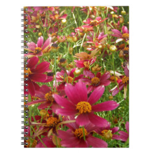 Bright Hot Pink and Yellow Daisy flowers Notebook