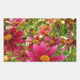 Bright Hot Pink and Yellow Daisy flowers Rectangular Sticker