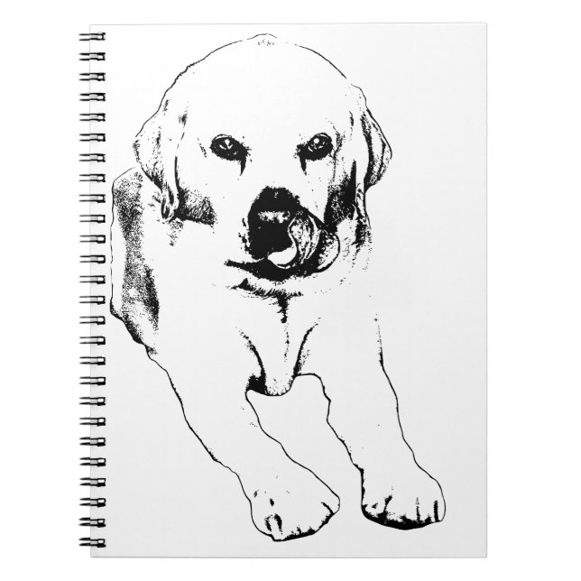 Bright ideas with a Lab Notebook (Front)