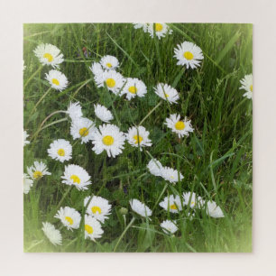 bright large flower in front of green background jigsaw puzzle