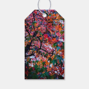 Bright leaves gift tags