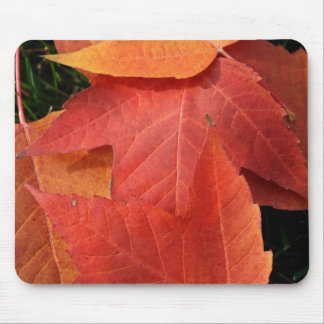 Bright Leaves Mouse Pad
