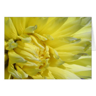 Bright, Lemon Yellow Dahlia