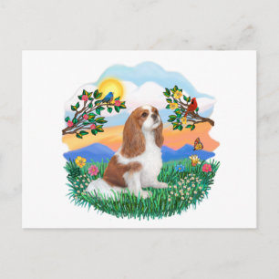 Bright Life - Cavalier (BL-F) Postcard