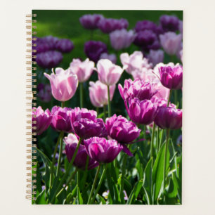 Bright lilac and pink tulips on a sunny day    planner