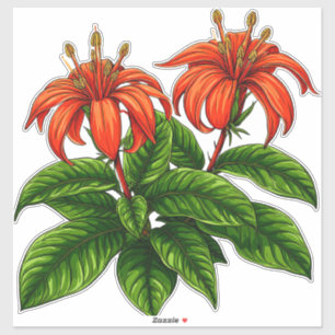 Bright Lily Flowers With Lush Green Leaves