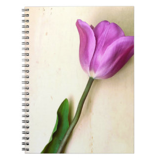 Bright Magenta Tulip Poetic Notebook
