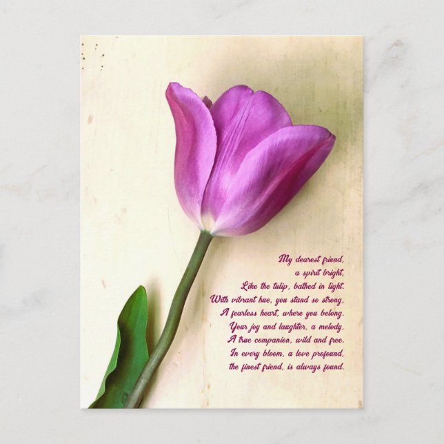 Bright Magenta Tulip Poetic  Postcard (Front)