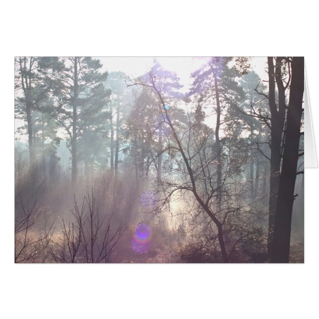 Bright morning sunlight through Mist Blank Card (Front Horizontal)